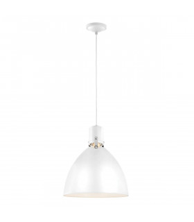 Lámpara colgante LED de jardín Brynne