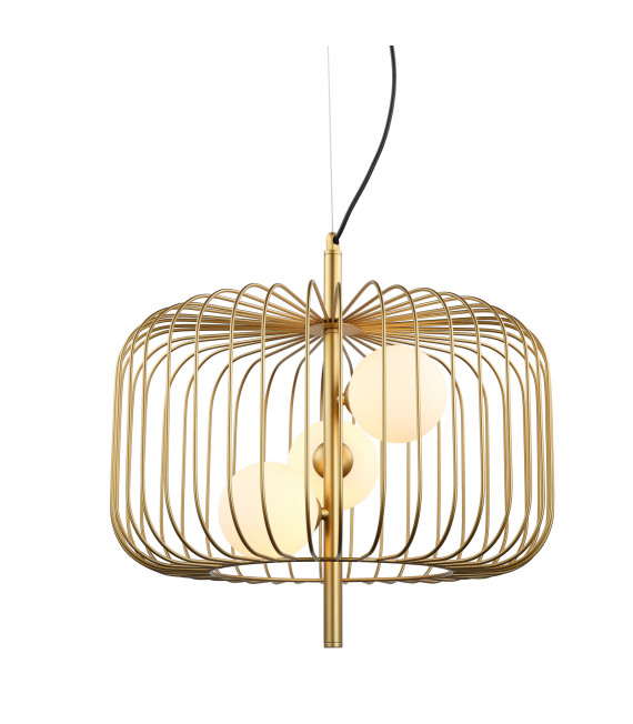 Modern hanging light Daren