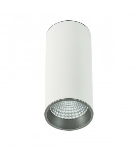 Lámpara de techo spot técnica y moderna Moldes Big WH / GR Ceiling 4000K Blanco, gris