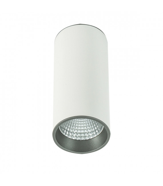 Plafoniera spot tecnica e moderna Moldes Big WH / GR Soffitto 4000K Bianco, grigio
