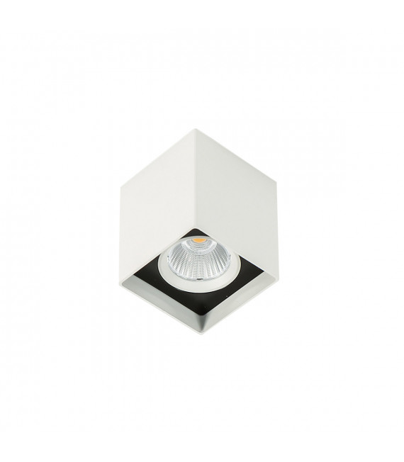 Plafoniera spot tecnica e moderna Alden White Black 3000K White black