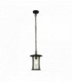 Suspension d'extérieur pagoda 1 ampoule - noir avec verre transparent