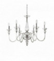 Suspension Transparente DOGE 6 ampoules