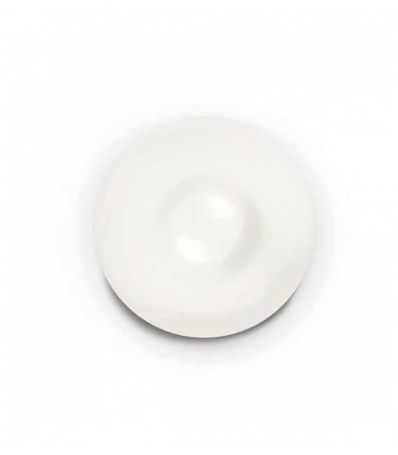 Plafonnier Blanc GLORY 2 ampoules