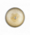 Amber SHELL ceiling light 6 bulbs