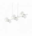 Suspension Blanche SHOTS 6 ampoules