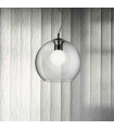 Suspension Transparente NEMO CLEAR 1 ampoule