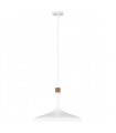 Suspension Darwin Blanc mat 34 Cm