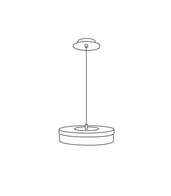 Solis lampada a sospensione 1 lampadina foglia oro
