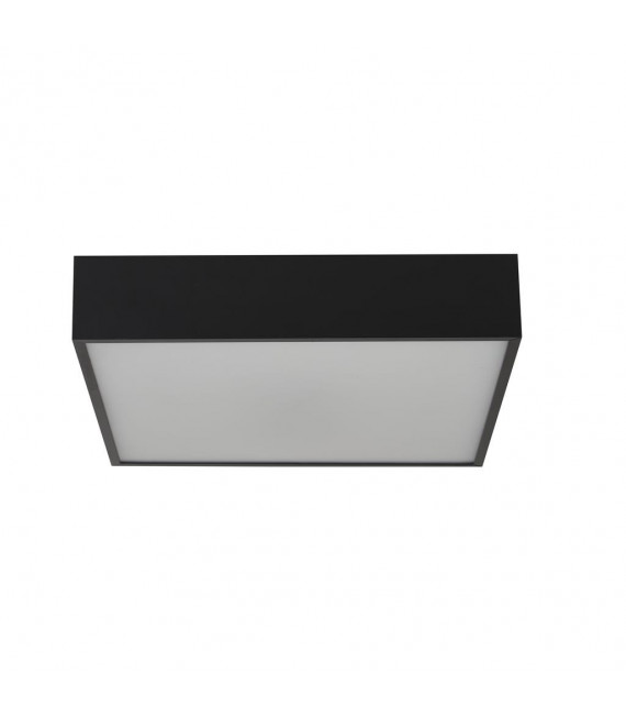 Plafoniera da bagno Zeus Alluminio, plastica bianca, opale bianco, Nero