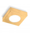 Spot Downlight Click Gold 1 bulb 3cm