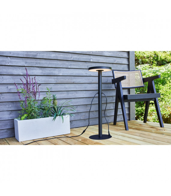 Gartenstecker Aluminium Schwarz 1 Knolle 96cm