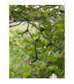 Garden PVC black ceiling light 240 bulbs 2cm
