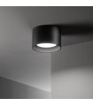 Spot Downlight Spike Métal Noir 1 ampoule 6,5cm