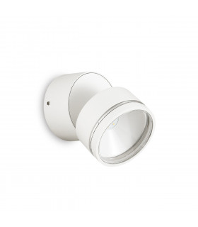 Spotlight Omega 1 bulb Glass, white metal
