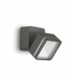Spot Omega Verre,métal Anthracite 1 ampoule 9cm