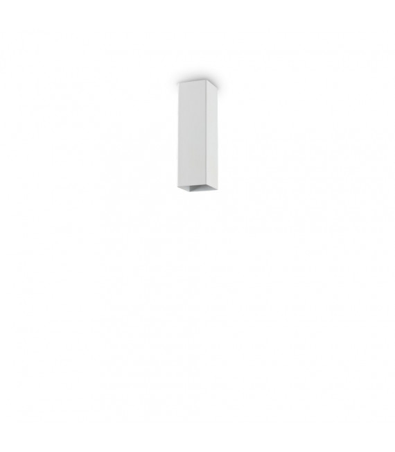 Spot Downlight Sky Metallo bianco 1 lampadina 20cm
