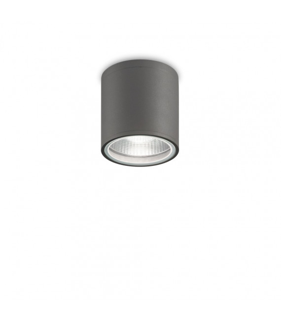 Spot Downlight Gun Aluminium Anthracite 1 ampoule 11,5cm