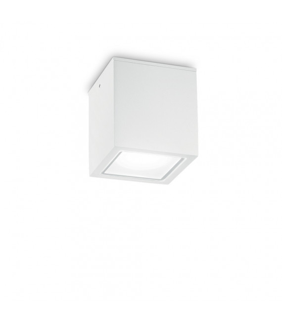 Spot Downlight Techo Verre,métal blanc 1 ampoule 16cm