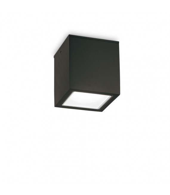 Spot Downlight Techo Glas, Metall Schwarz 1 Glühbirne 16cm