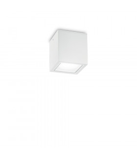 Spot Downlight Techo Glass, white metal 1 bulb 9.5cm