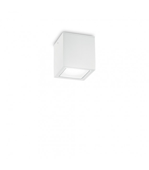 Spot Downlight Techo Cristal, metal blanco 1 bombilla 9,5cm
