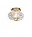 Spot design CARLA Or 24 Carats 1 ampoule