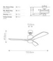 Ridley Fan Steel Natural Brass