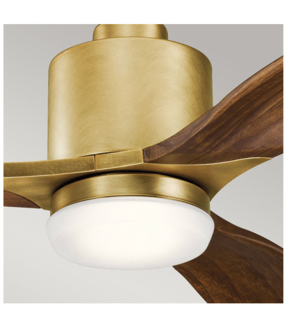 Ridley Fan Steel Natural Brass