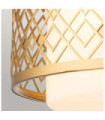 Ziggy Pendant Glass, Lacquered Gold Steel