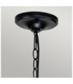 Capitol Suspension Black Steel