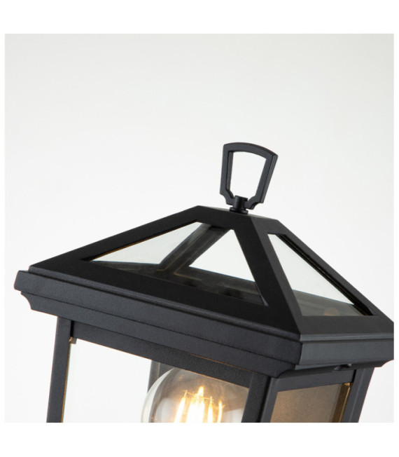 Hinkley exterior wall light Transparent glass, aluminum Museum Black