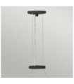 Hinkley Pendant Light Aluminum,resin,steel Carbon black with luxury gold
