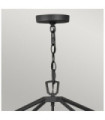 Hinkley outdoor pendant light Transparent seed glass, Museum aluminum Black
