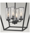Hinkley outdoor pendant light Transparent seed glass, Museum aluminum Black