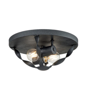 Quoizel Ceiling Light Steel Gray Ash