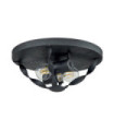 Quoizel Ceiling Light Steel Gray Ash