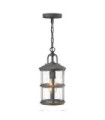 Hinkley outdoor pendant light Transparent seeded glass, aged zinc aluminum and driftwood gray