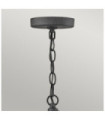 Hinkley outdoor pendant light Transparent seeded glass, aged zinc aluminum and driftwood gray