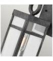 Applique murale extérieur Hinkley Verre Transparent,aluminium Zinc vieilli