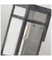 Applique murale extérieur Hinkley Verre Transparent,aluminium Zinc vieilli