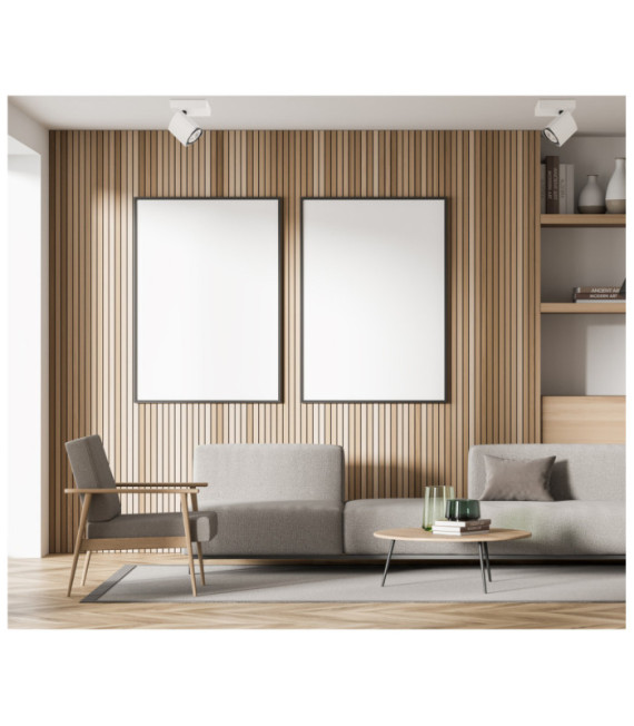 Merusa Spotlight Steel, White Aluminum, Black