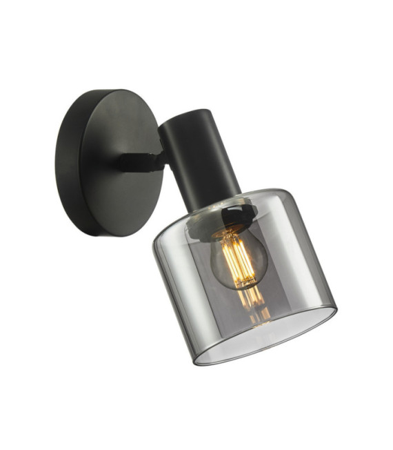 Spot Santia Acier Noir