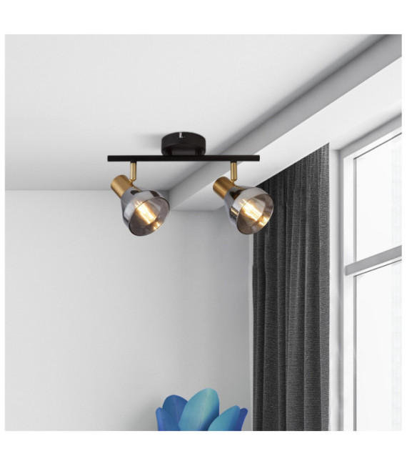 Westminster spotlight Mild steel Black, Satin brass, Smoked