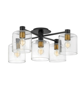 Lámpara de techo Hinkley de acero, cristal transparente negro y latón Heritage