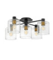 Hinkley Ceiling Light Steel, Black Clear Glass with Heritage Brass