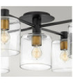 Hinkley Ceiling Light Steel, Black Clear Glass with Heritage Brass
