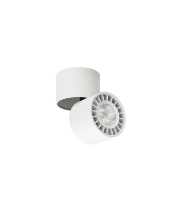 Herios Ceiling Light Aluminum White, Black