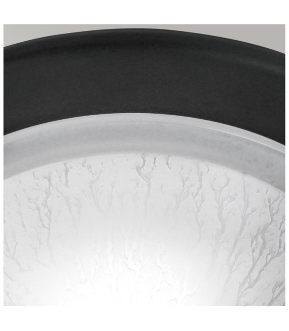 Plafonnier Berwick Verre,Acier Noir