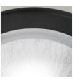 Berwick Ceiling Light Glass, Black Steel